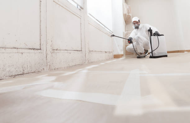 24/7 Emergency Commercial Mold Remediation experts in Mackinaw City, MI